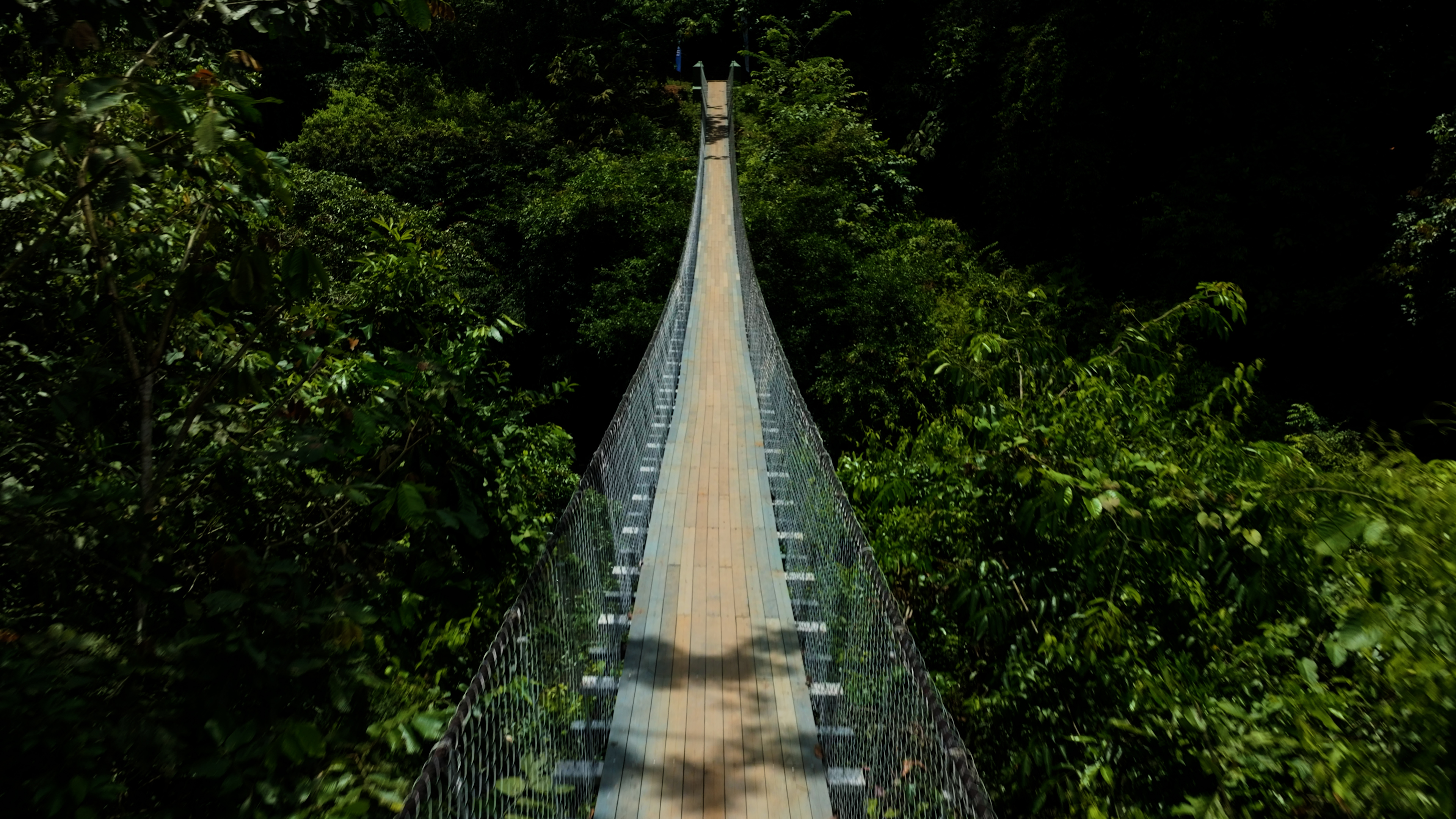 Bridge